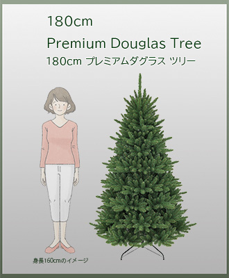 サイズイメージ